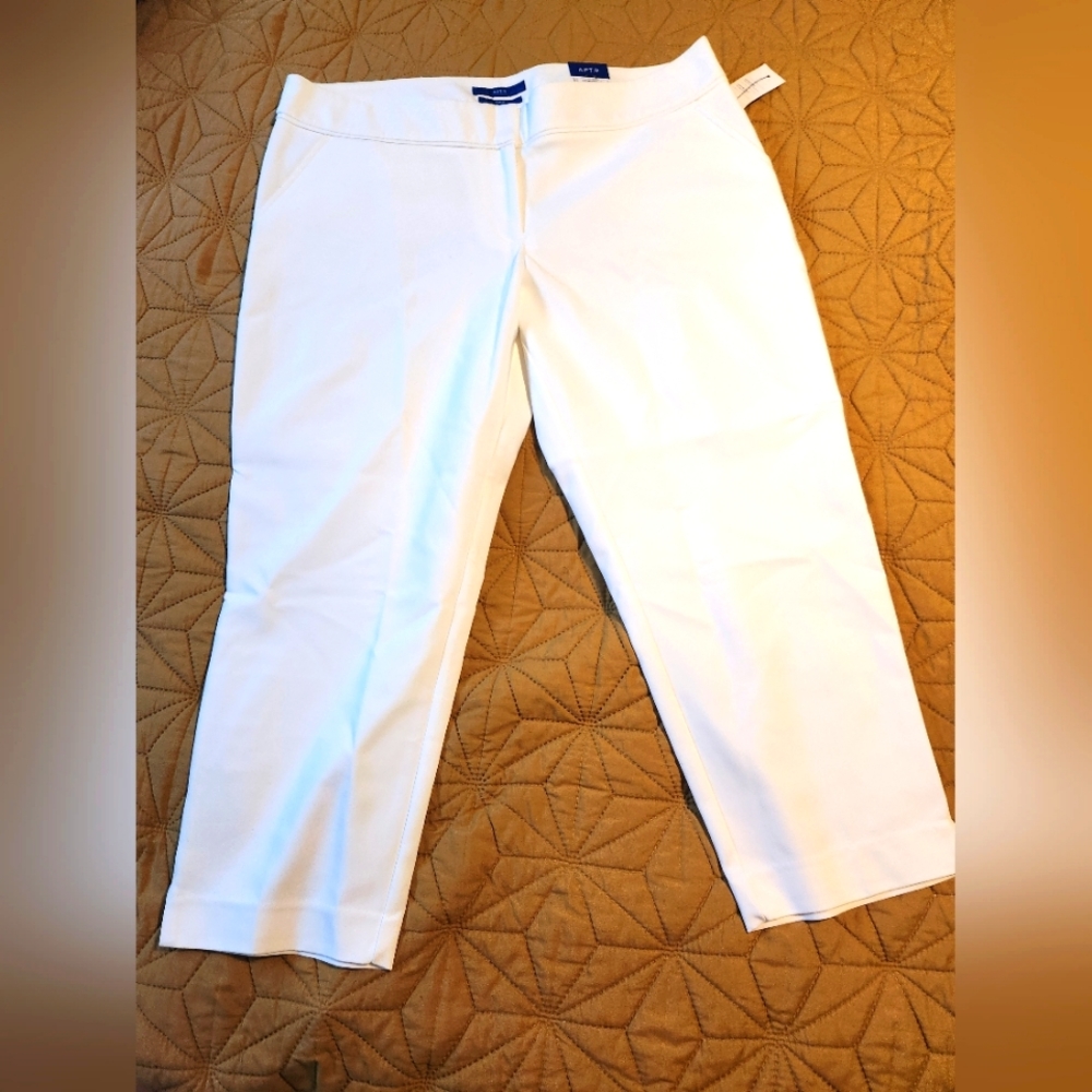 Capri pants NWT - Picture 1 of 4